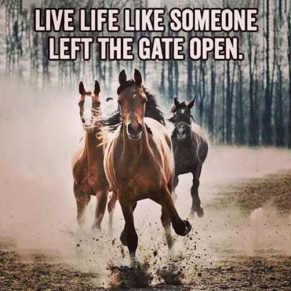 Meet your Posher, Tee - Picture 1 of 1